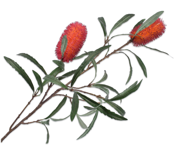 Protea 88cm Red