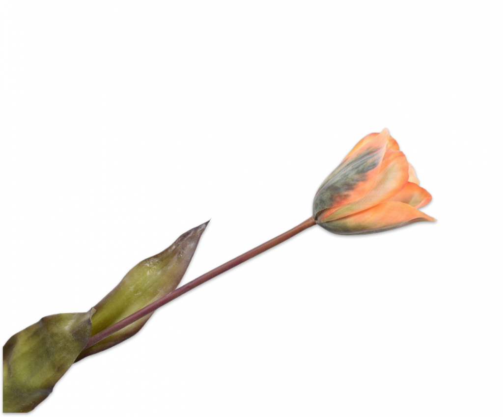 Tulip | Tulipe 72cm Orange Yellow
