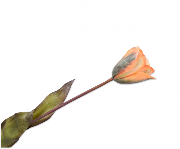 Tulip | Tulipe 72cm Orange Yellow