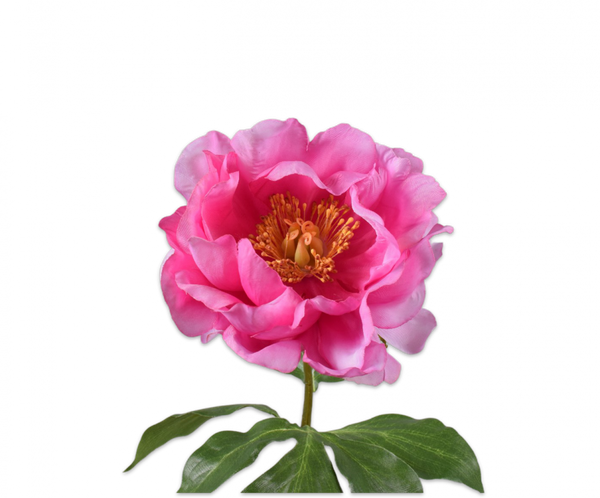 Peony | Pivoine 56cm Lavender Pink