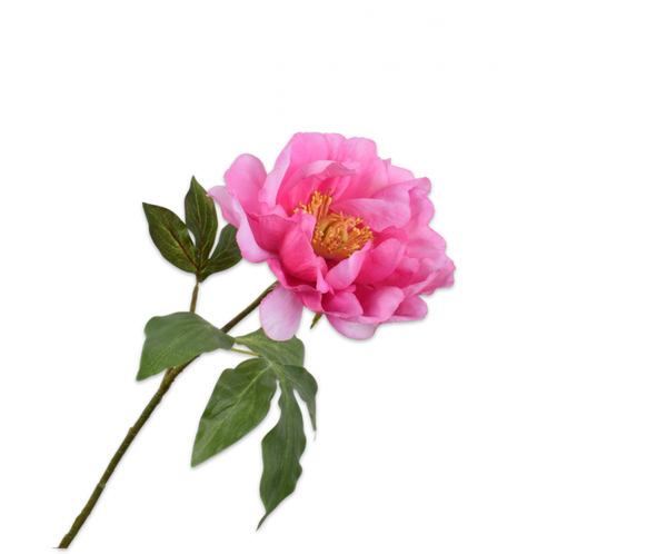 Peony | Pivoine 56cm Lavender Pink