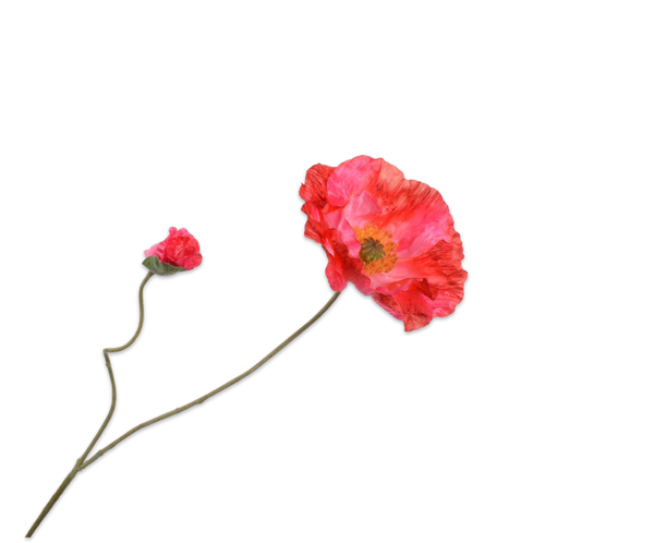 Poppy | Pavot 75cm Red Pink
