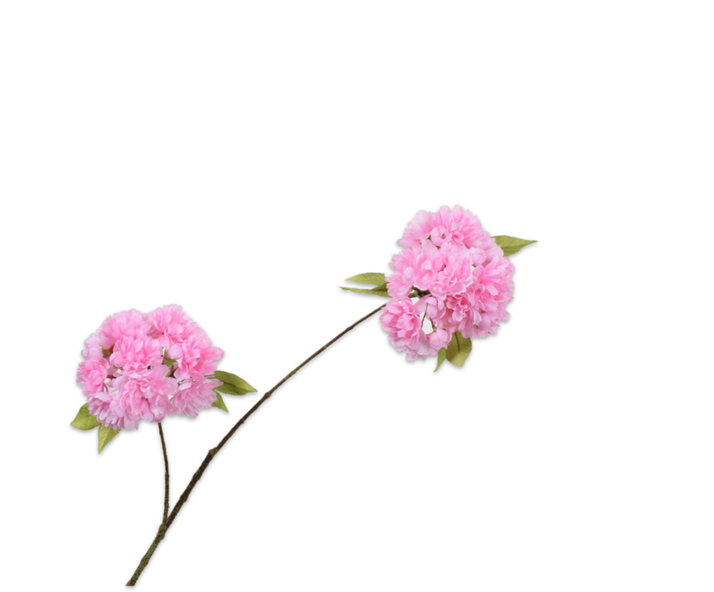 Cherry Blossom | Fleurs de Cerisier 72cm Pink