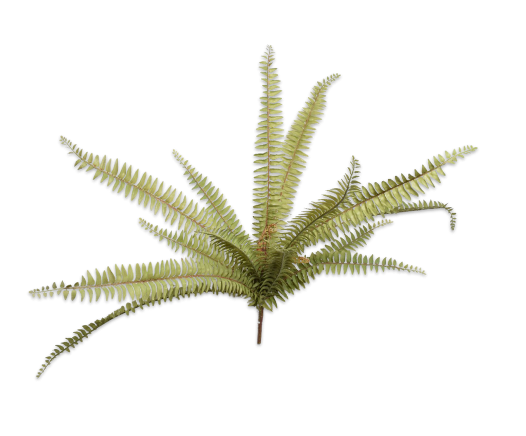 Fern | Fougère 80cm Green