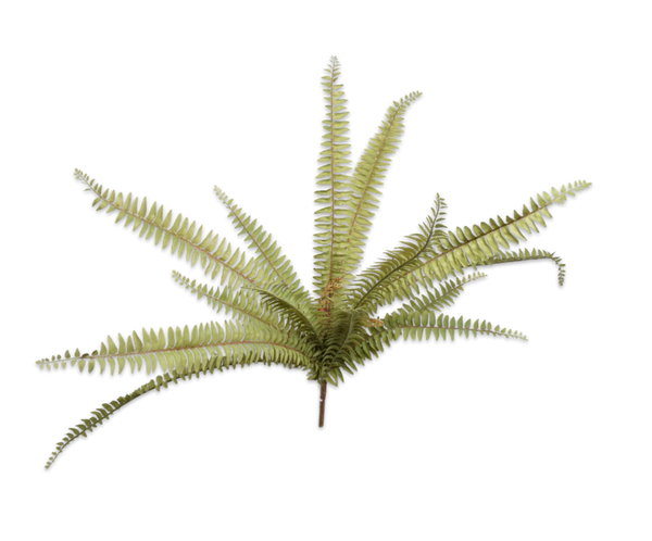 Fern | Fougère 80cm Green