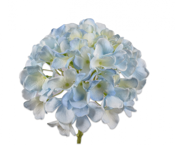 Hydrangea | Hortensia 48cm Light Blue