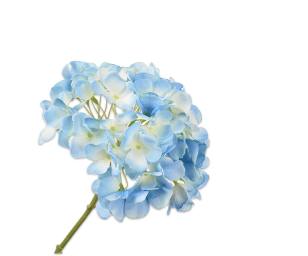 Hydrangea | Hortensia 48cm Blue White