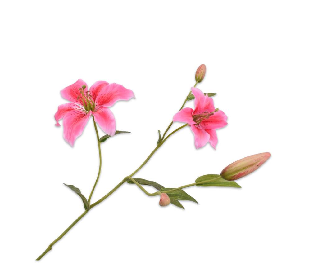 Lily | Lys 90cm Pink