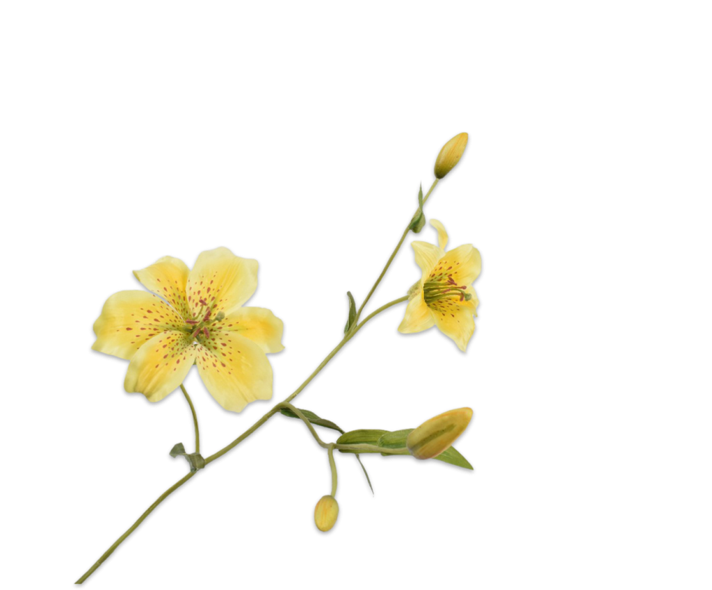 Lily | Lys 90cm Yellow
