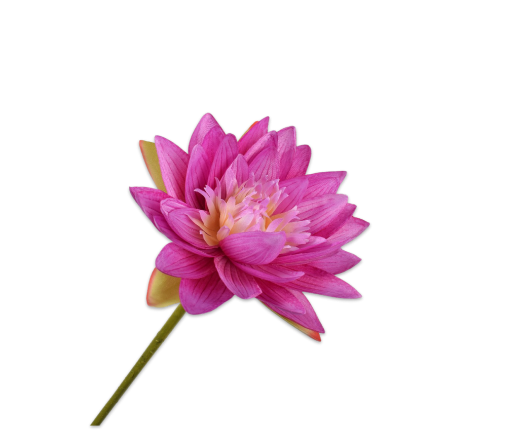 Water Lily | Nénuphar 75cm Lilac