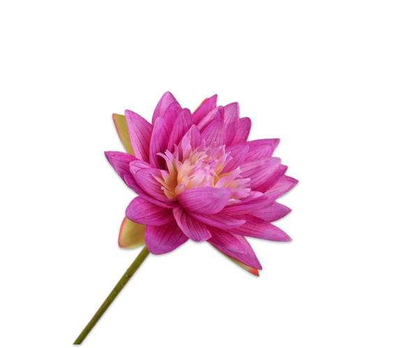 Water Lily | Nénuphar 75cm Lilac