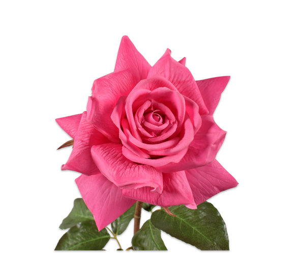 Rose 69cm RealTouch Pink Beauty