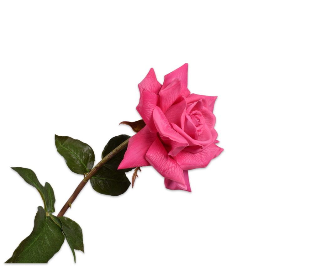 Rose 69cm RealTouch Pink Beauty