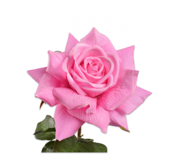 Rose 69cm RealTouch Pink