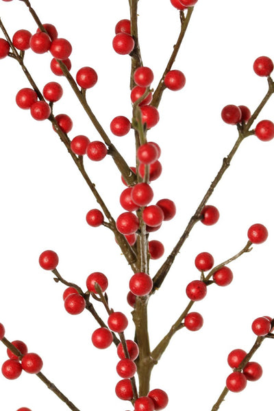 Ilex Berries | Baies 91cm Red