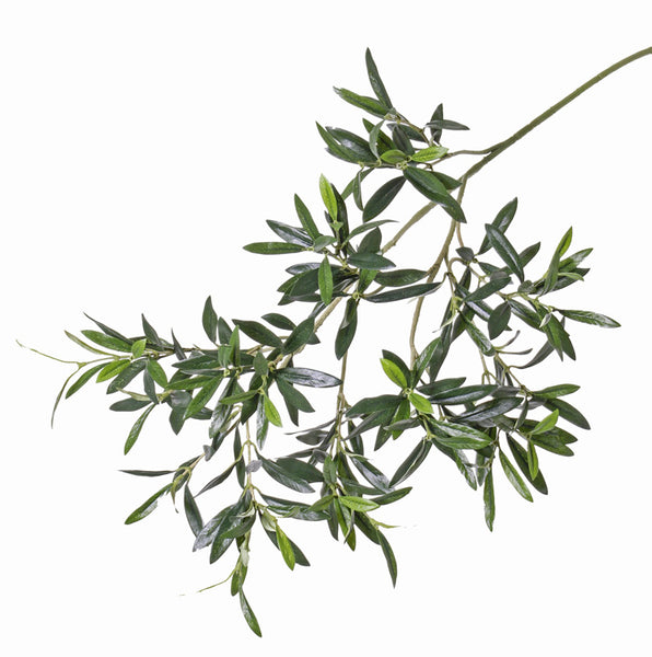Olive | Olivier 80cm Green UVsafe