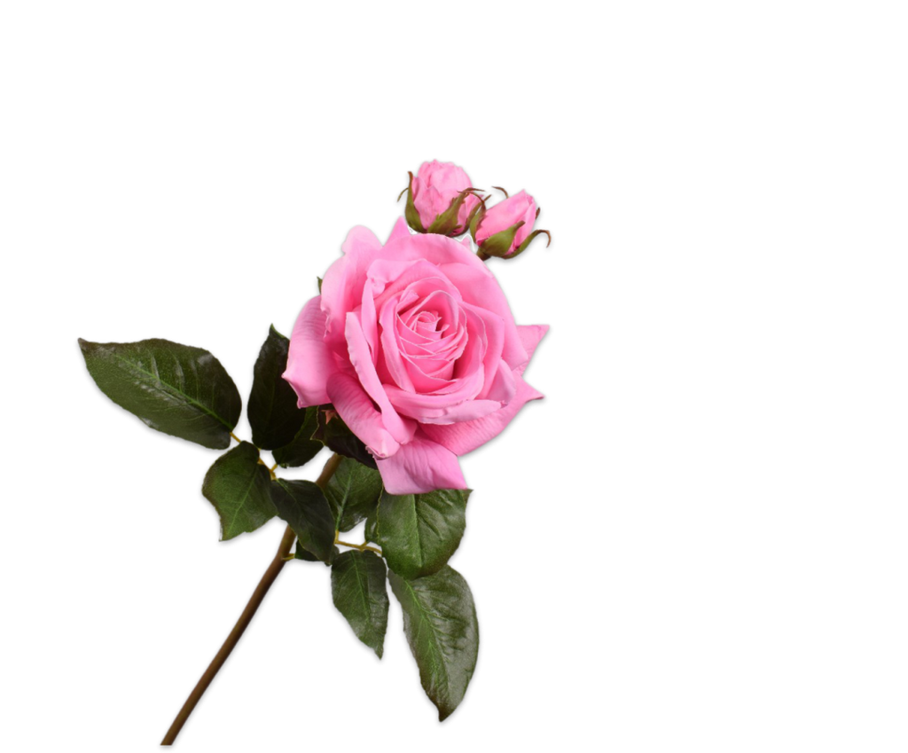 Rose 56cm RealTouch Pink