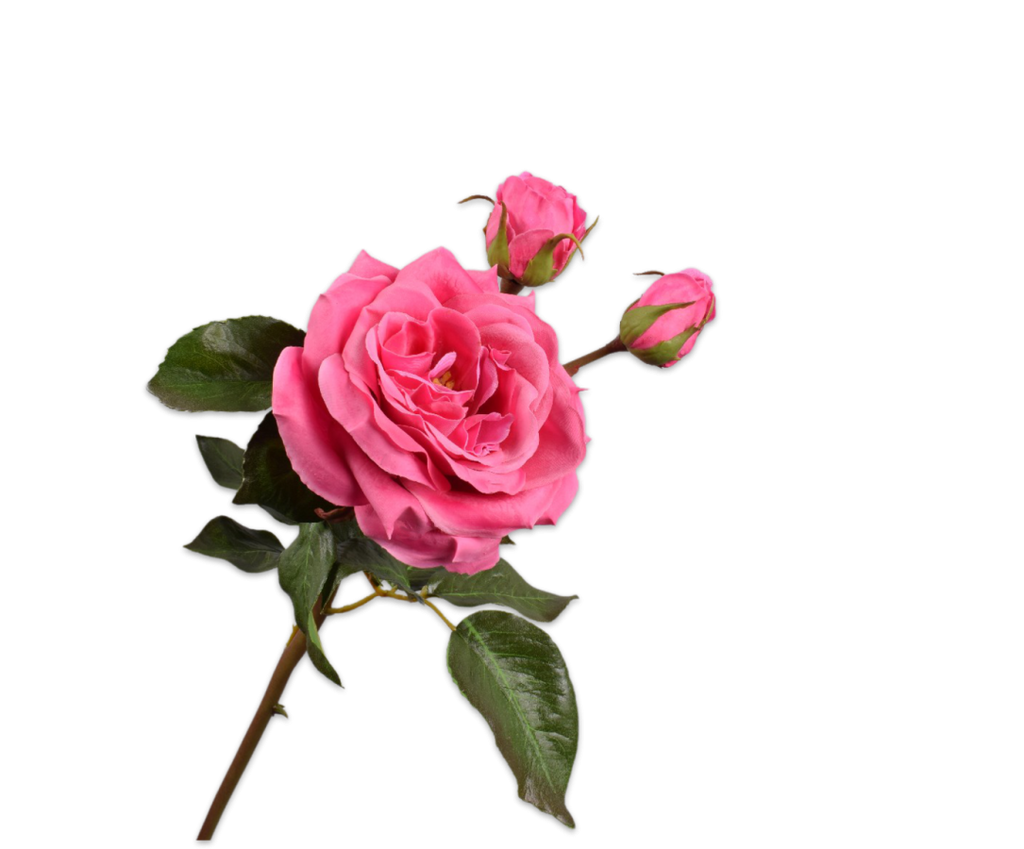 Rose 55cm RealTouch Dark Pink