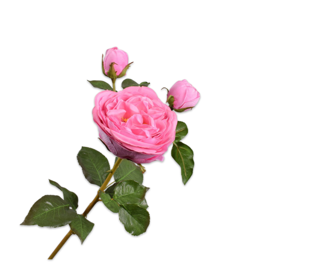 Rose 57cm RealTouch Pink