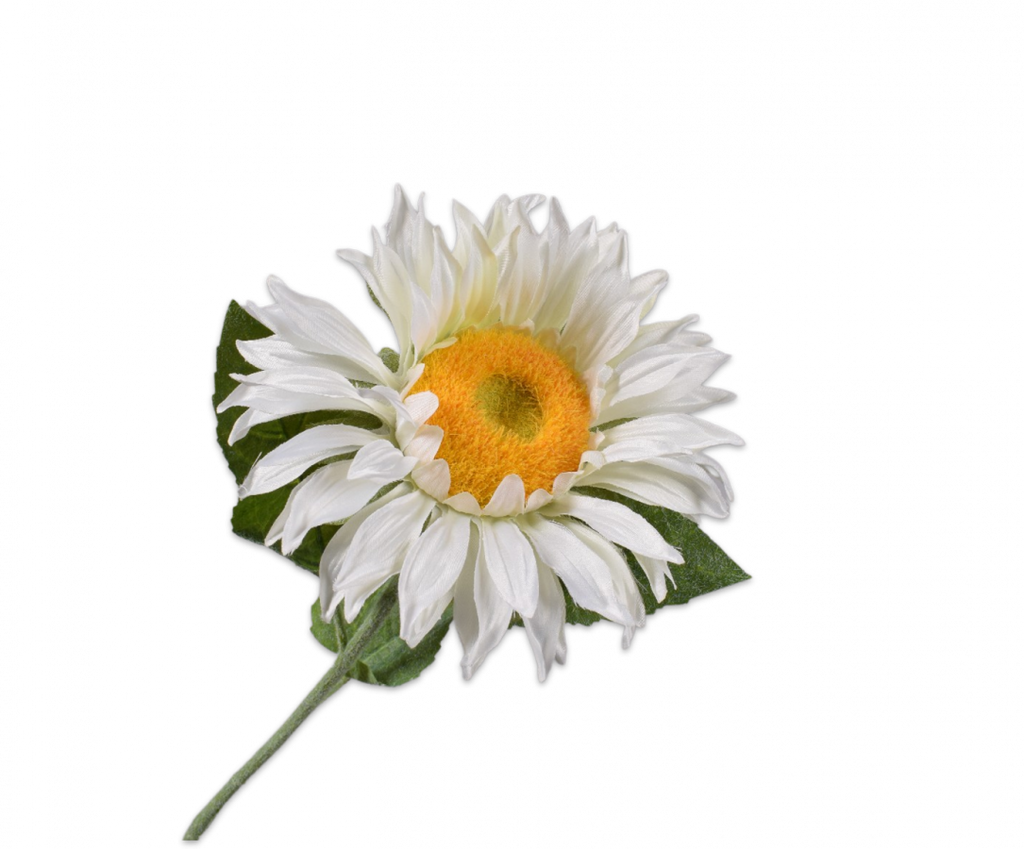 Sunflower | Tournesol 62cm White Yellow