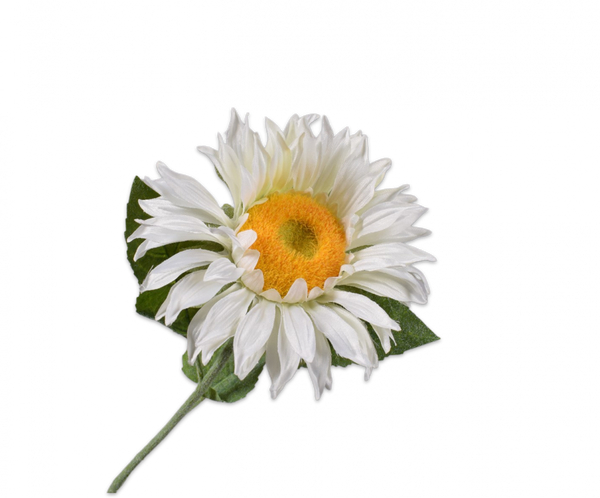 Sunflower | Tournesol 62cm White Yellow