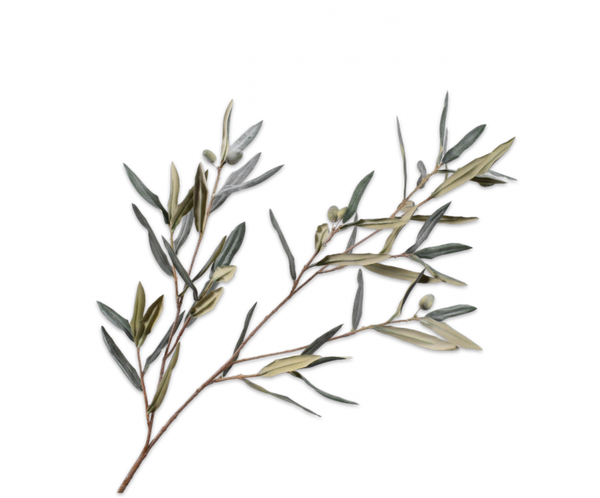 Olive | Olivier 94cm Green