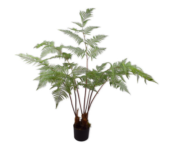 Fern | Fougère 157cm Green