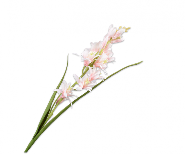 Tuberose | Tubéreuse 76cm Light Pink