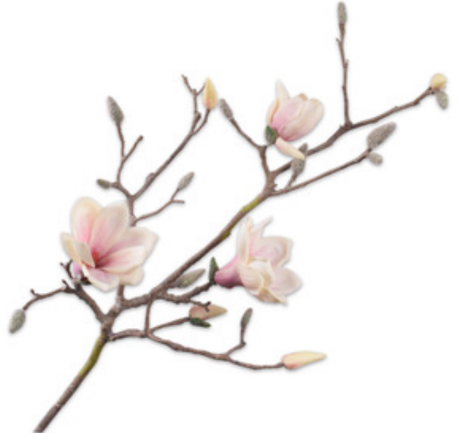 Magnolia 108cm Cream Pink