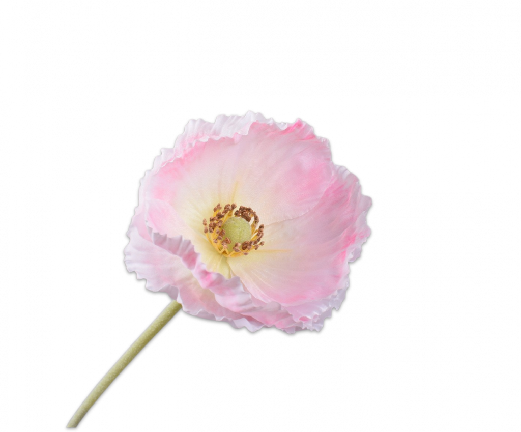 Poppy | Pavot 73cm Pink