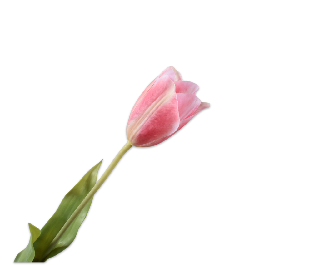 Tulip | Tulipe 72cm RealTouch Pink