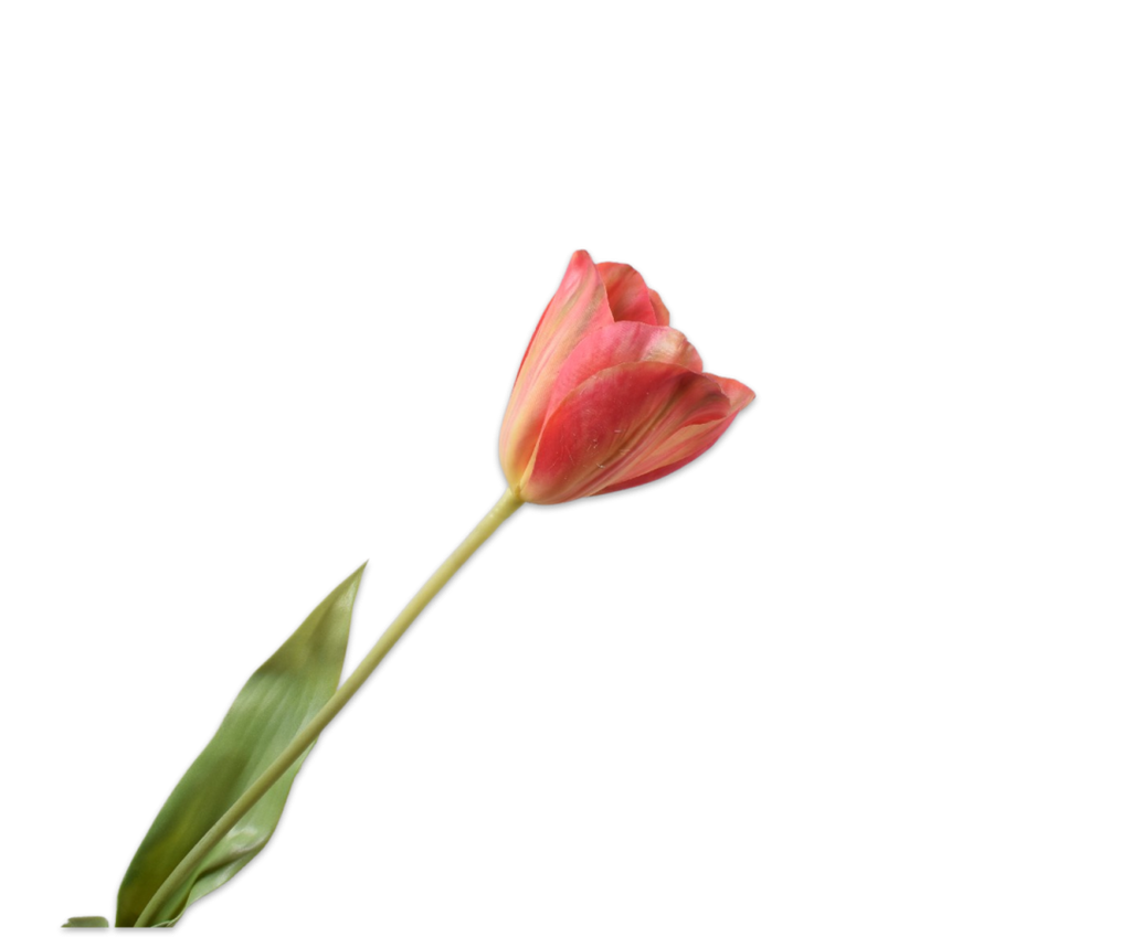 Tulip | Tulipe 72cm RealTouch Red Yellow