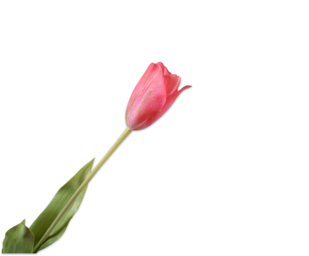 Tulip | Tulipe 72cm RealTouch Pink Yellow