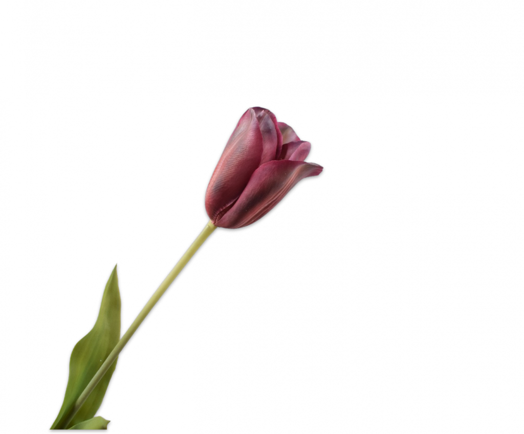 Tulip | Tulipe 72cm RealTouch Mauve Peach