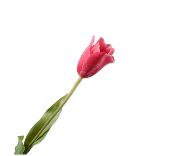 Tulip | Tulipe 72cm RealTouch Beauty
