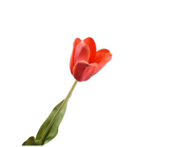 Tulip | Tulipe 72cm RealTouch Light Orange