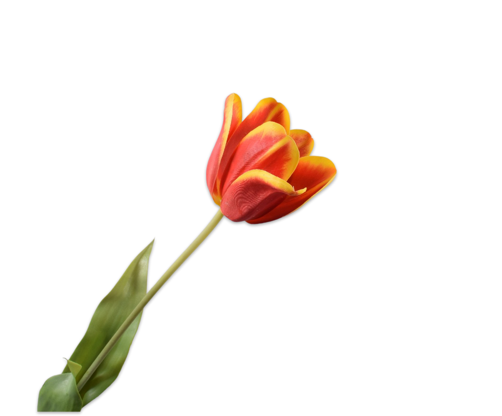 Tulip | Tulipe 71cm Red Yellow