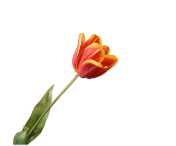 Tulip | Tulipe 71cm Red Yellow