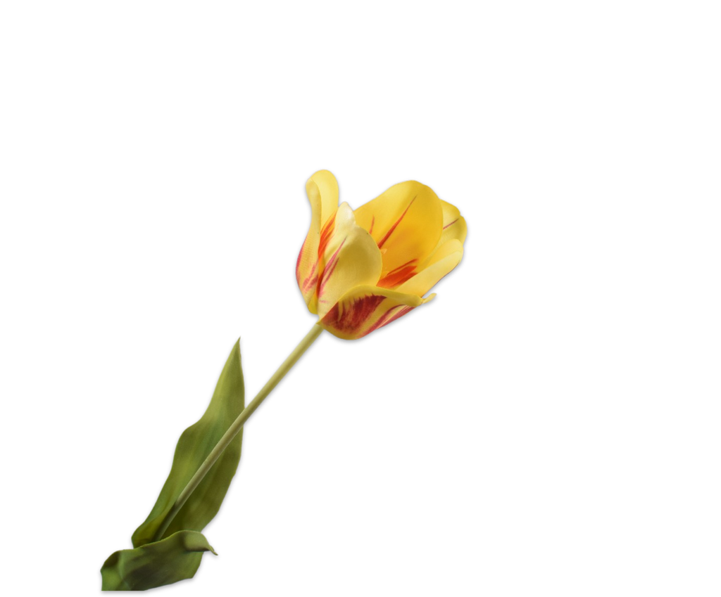 Tulip | Tulipe 71cm RealTouch Yellow Red