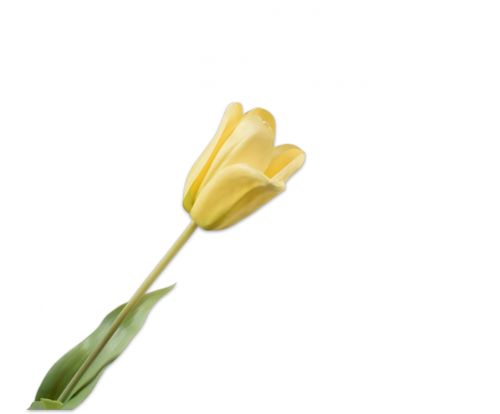 Tulip | Tulipe 71cm RealTouch Yellow