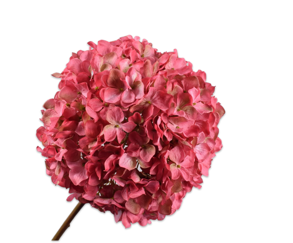 Hydrangea | Hortensia 79cm Pink