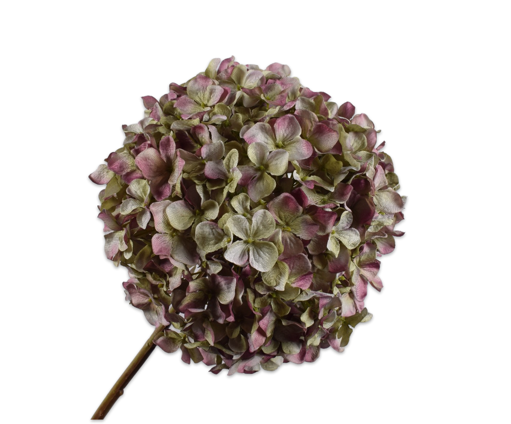 Hydrangea | Hortensia 79cm Mauve Green
