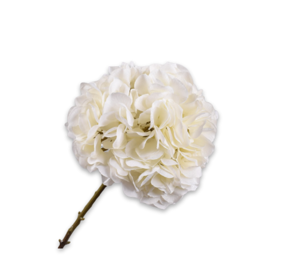 Hydrangea | Hortensia 64cm White