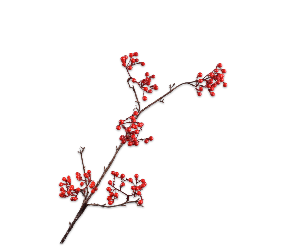 Berries | Baies 84cm Red