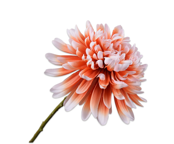 Chrysanthemum | Chrysanthème 53cm Peach