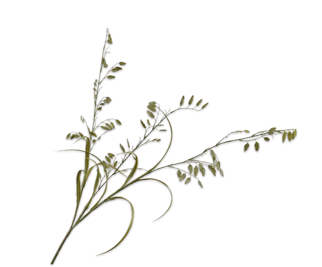 Grass | Herbe ramifiée 125cm Green