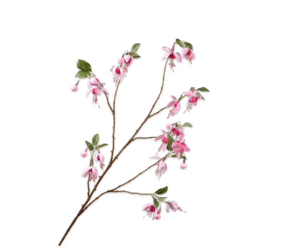 Fuchsia 118cm Pink