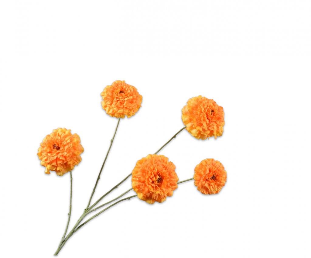 Tagetes 91cm Orange