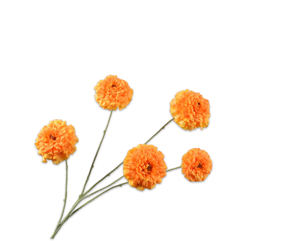 Tagetes 91cm Orange