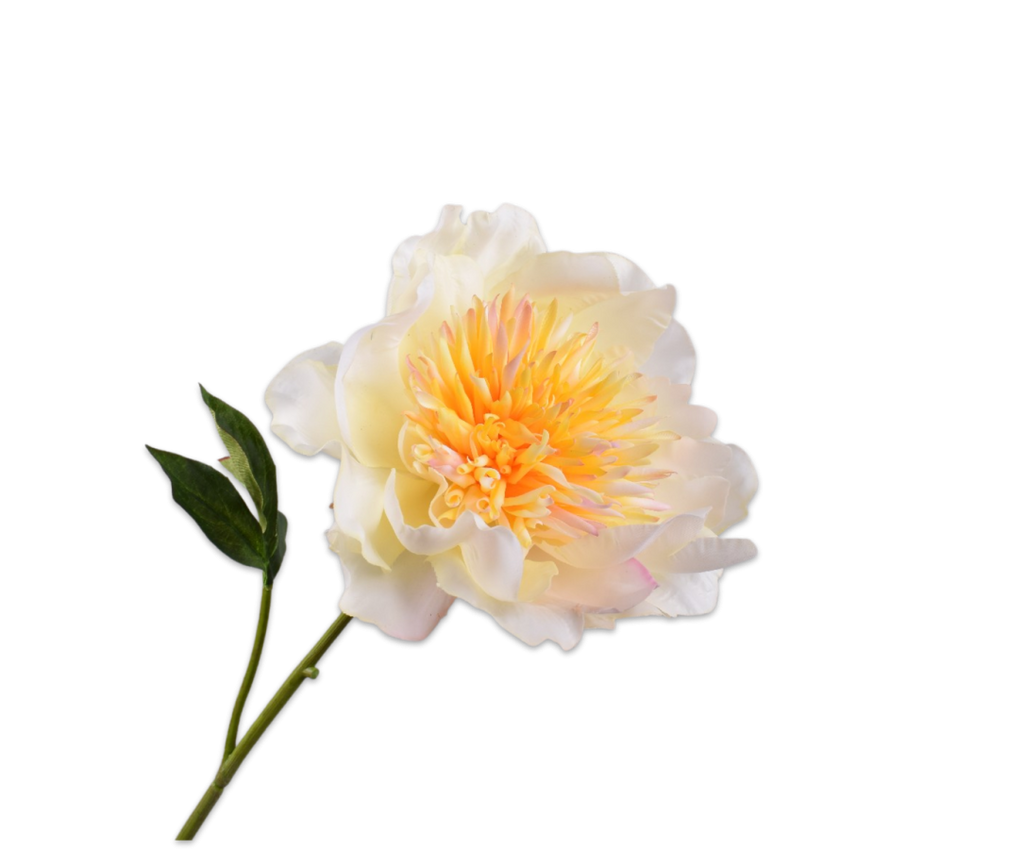 Peony | Pivoine 56cm RealTouch Cream